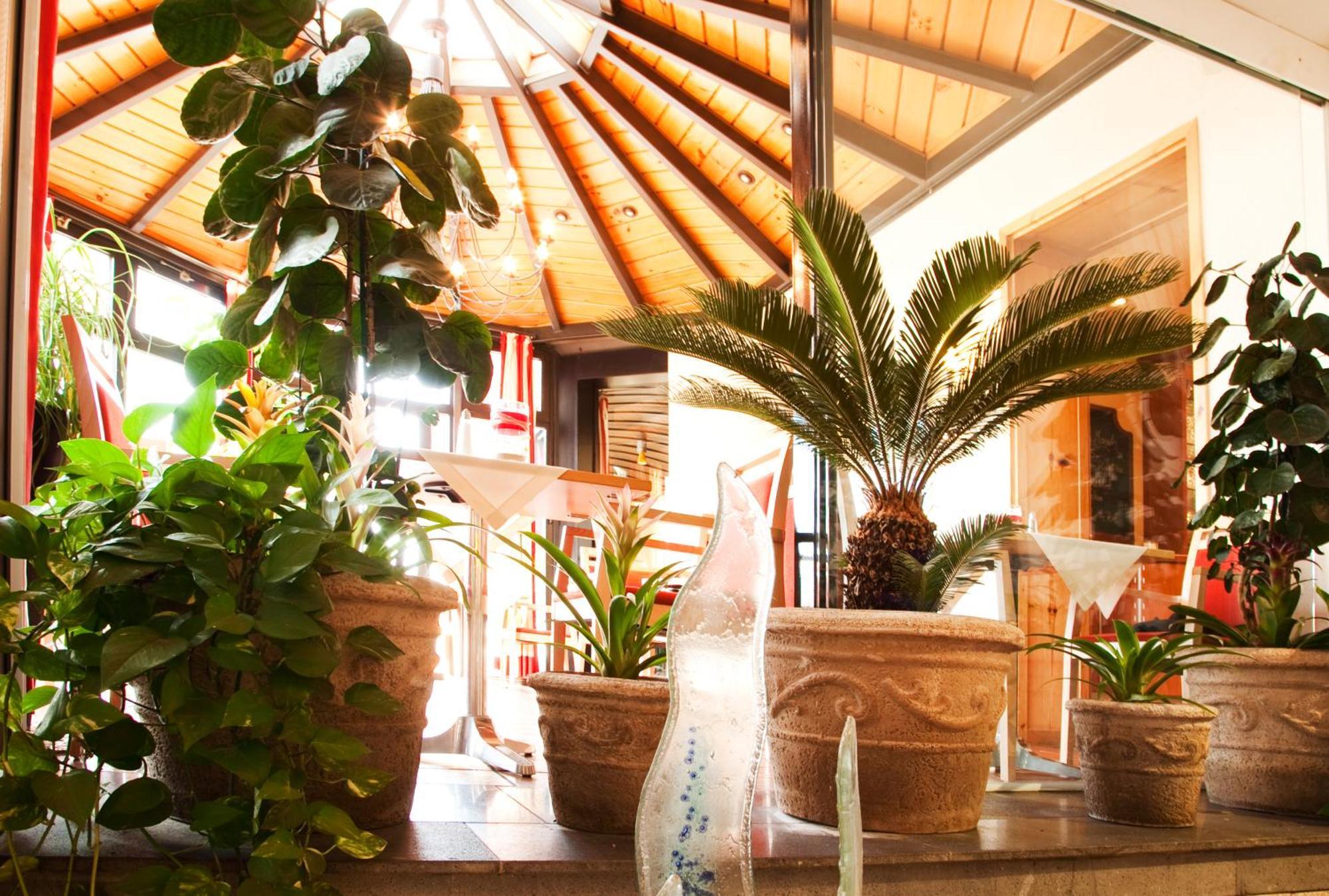 Hotel Bacchus Bensheim Nội địa bức ảnh